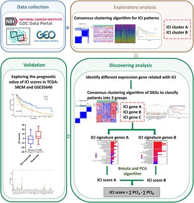 Identification of Immune Cell Infiltration Landscape and Their Prognostic Significance in Uveal Melanoma